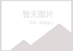 钦州夏岚舞蹈有限公司